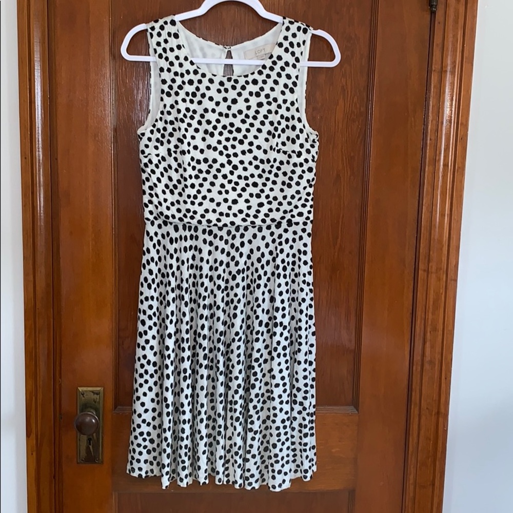 Loft Ivory and Black Dress